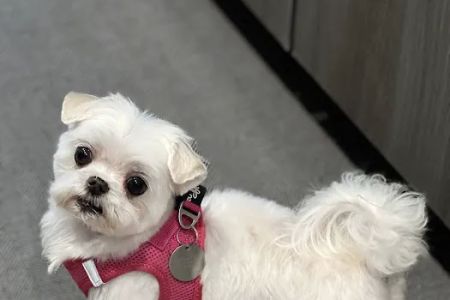 Braden River Animal Hospital