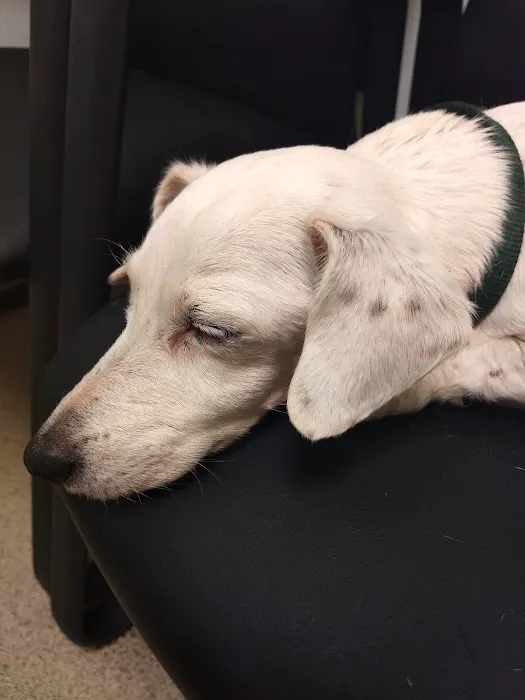 Braden River Animal Hospital 2