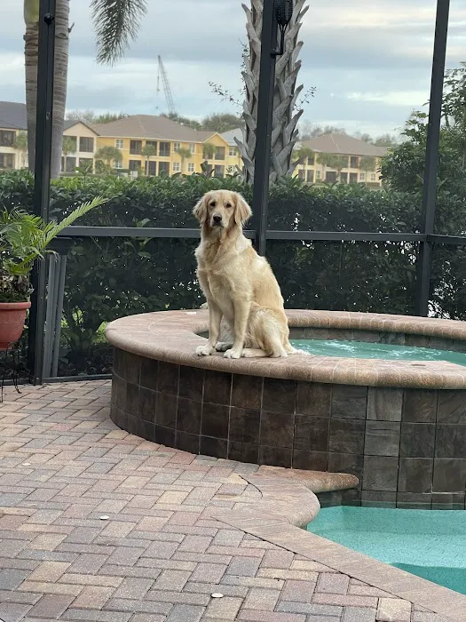 Braden River Animal Hospital 7