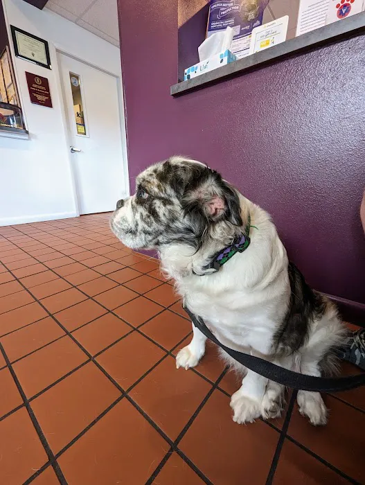 DeSoto Animal Clinic 12