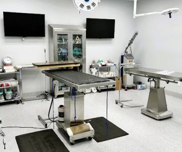 DeSoto Animal Clinic
