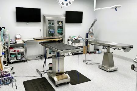 DeSoto Animal Clinic