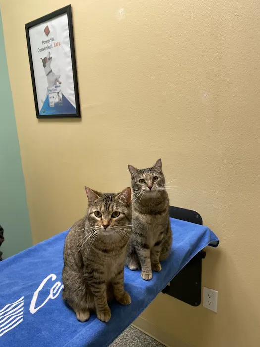 Dr. Nina's Animal Hospital Parrish 5