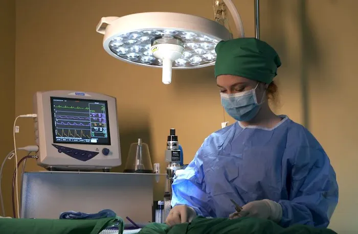 Dr. Nina's Animal Hospital Parrish 6