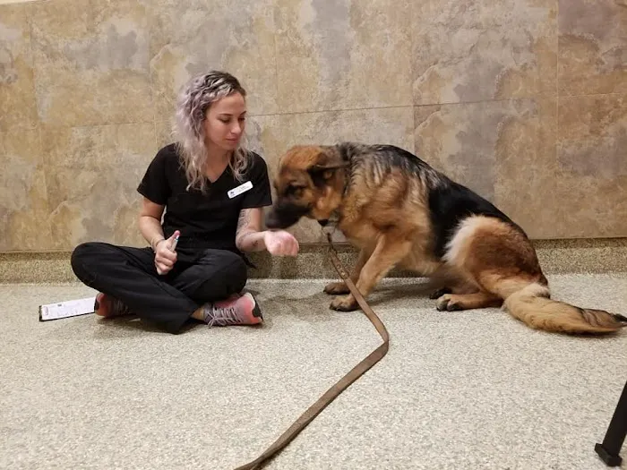 Dr. Nina's Animal Hospital Parrish 10