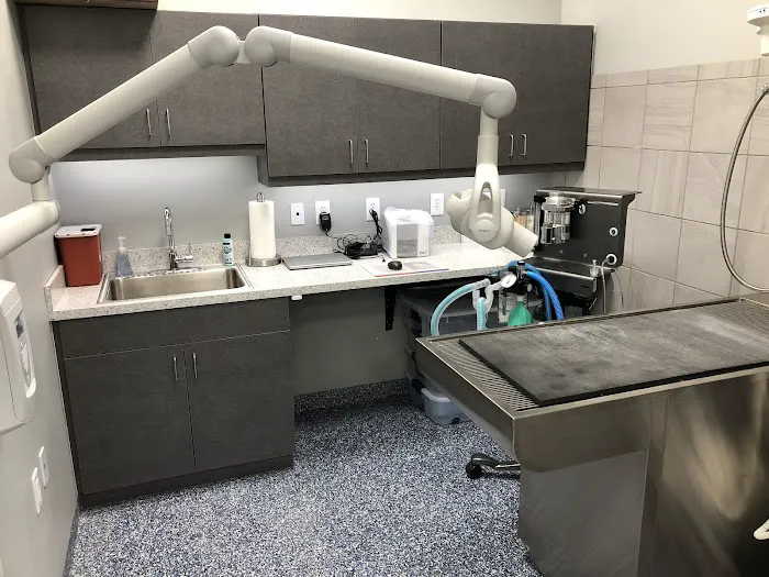 Keystone Animal Hospital 12