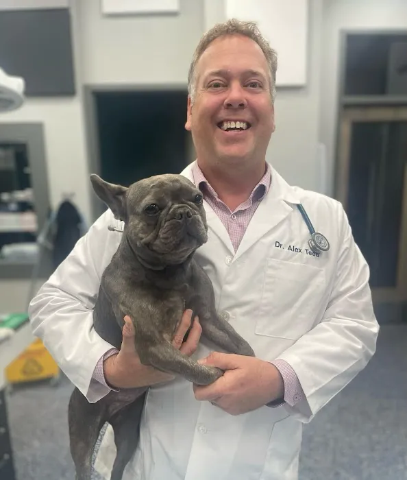 Keystone Animal Hospital 12