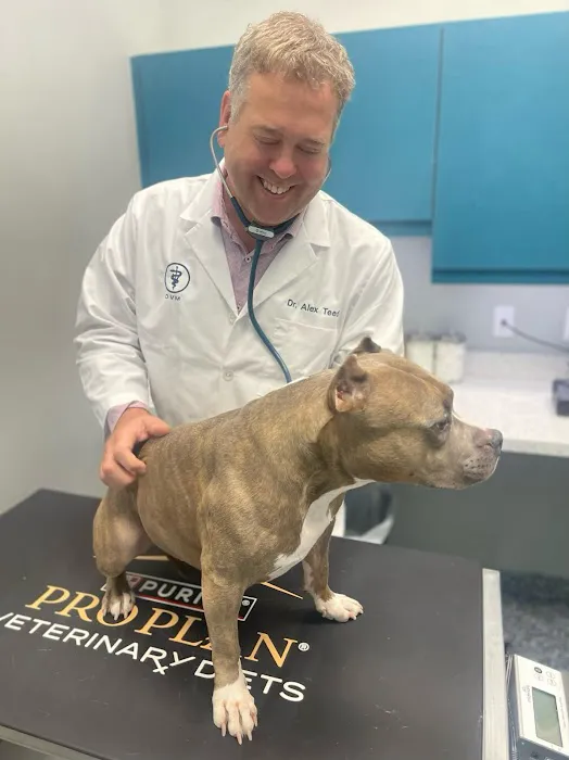 Keystone Animal Hospital 12