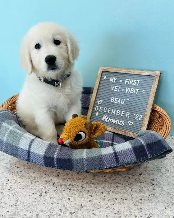 Keystone Animal Hospital 12