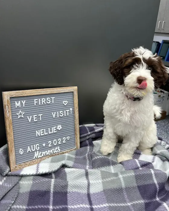 Keystone Animal Hospital 12