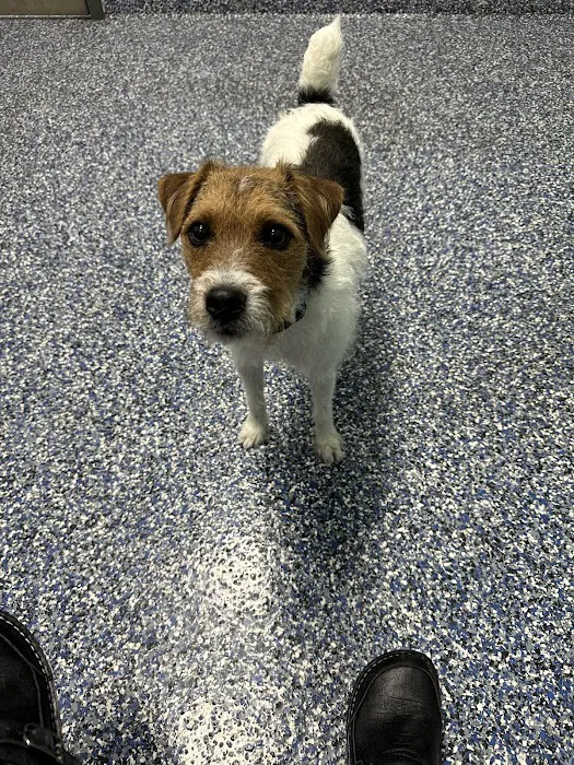 Keystone Animal Hospital 12