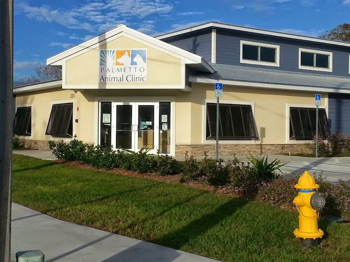 Palmetto Animal Clinic 7