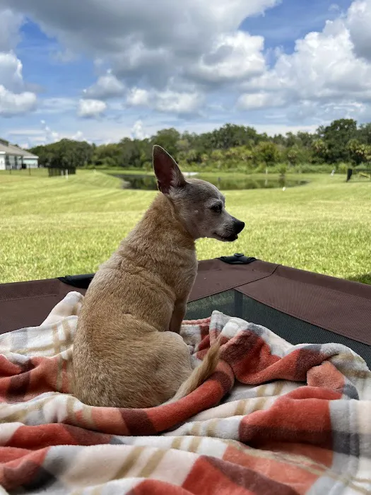 Palmetto Animal Clinic 5