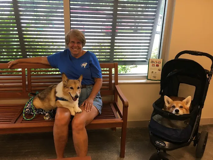 Palmetto Animal Clinic 3