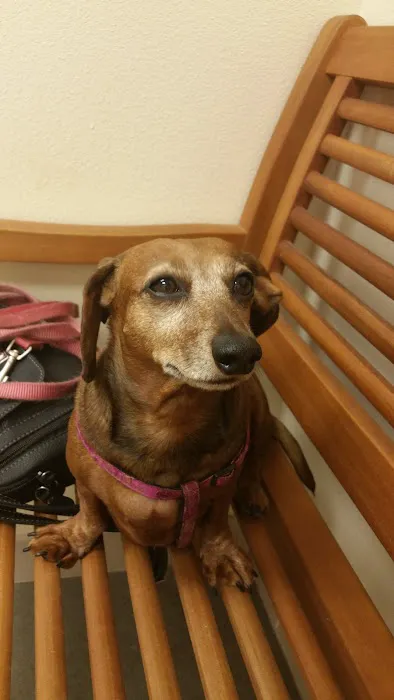 Palmetto Animal Clinic 9