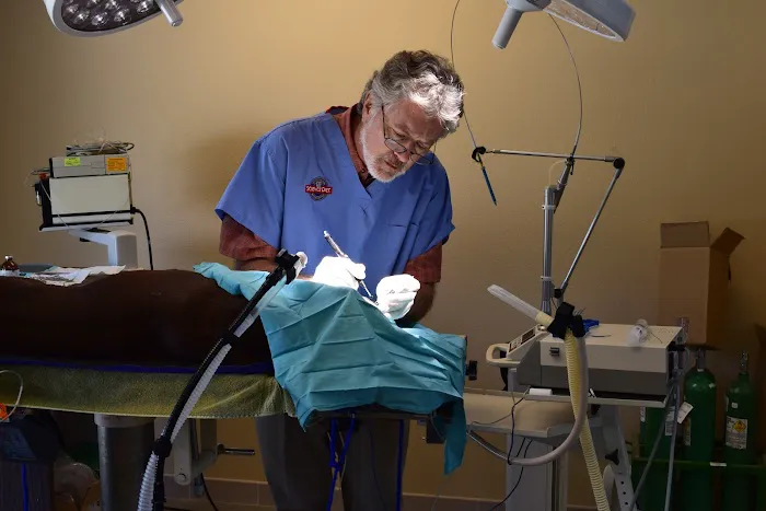 Palmetto Animal Clinic 8