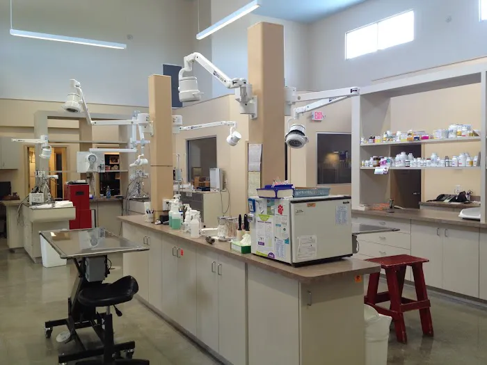 Palmetto Animal Clinic 2