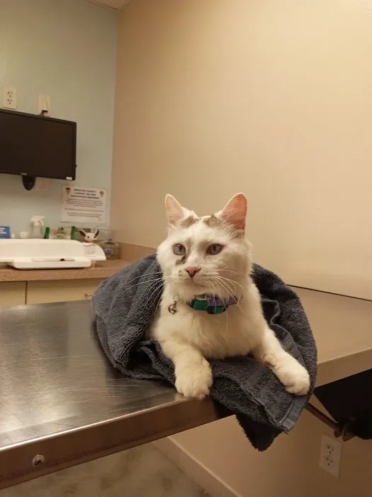 Palmetto Animal Clinic 1