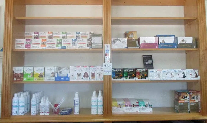 Beach Vet Clinic 8