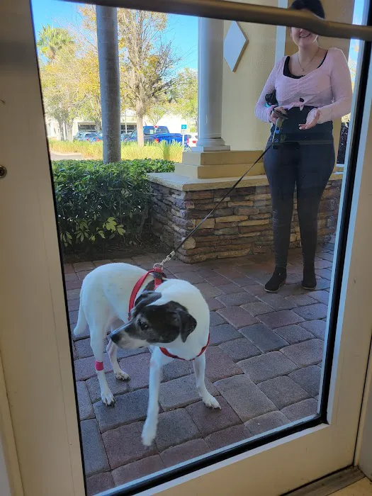 Animal Health Clinic 12