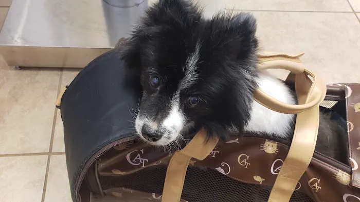 Ranch Animal Hospital 12
