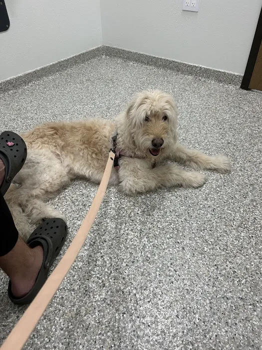 Ranch Animal Hospital 12