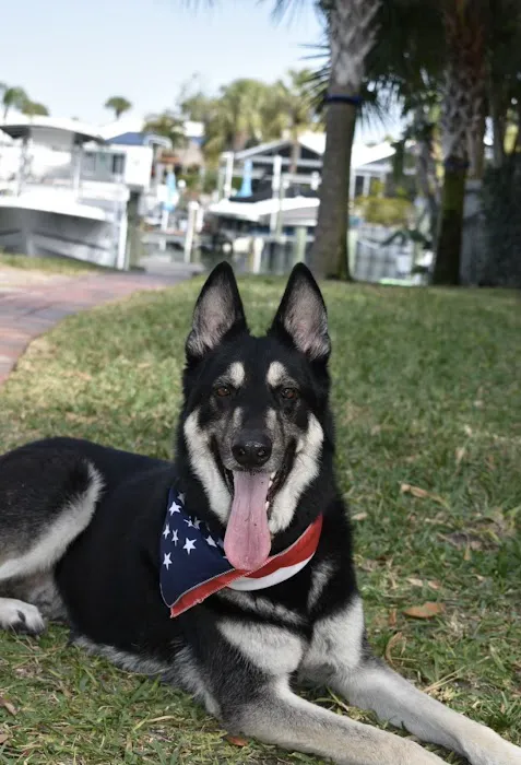 The Pet Clinic of Bradenton 7
