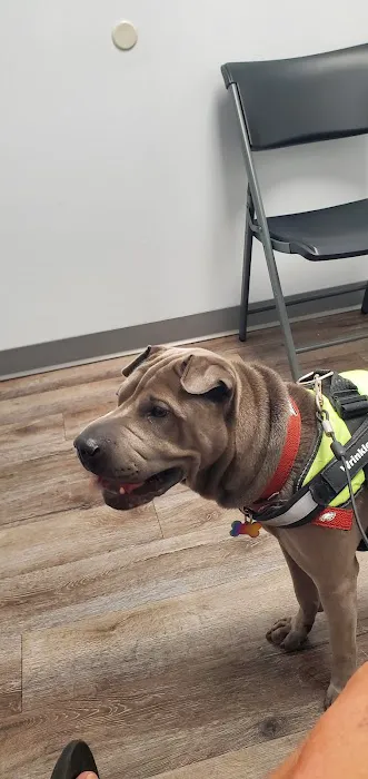 The Pet Clinic of Bradenton 3