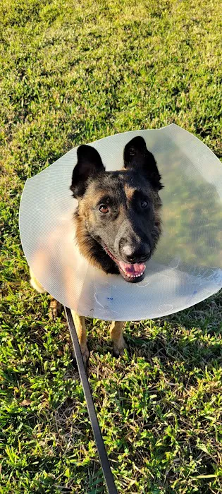 The Pet Clinic of Bradenton 5