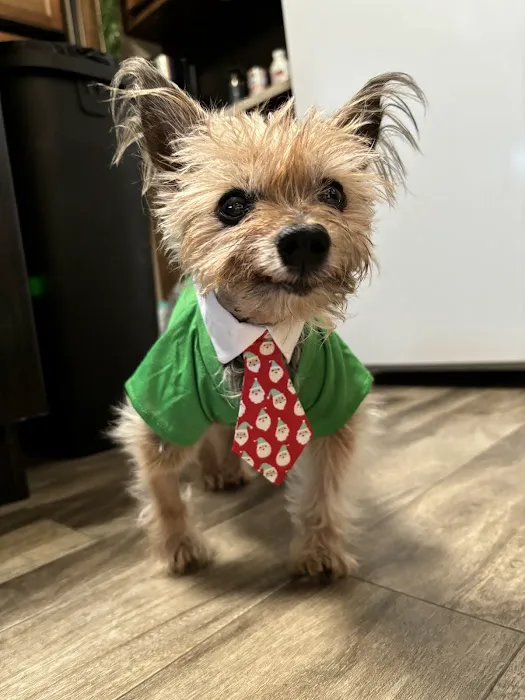 The Pet Clinic of Bradenton 6