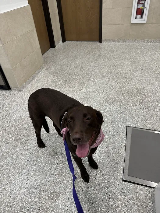 Wellness Animal Hospital - White Eagle 12