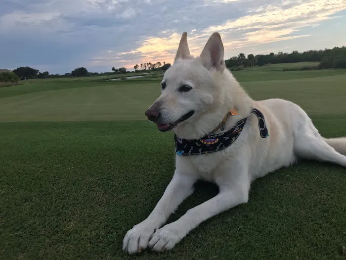 Wellness Animal Hospital - White Eagle 12