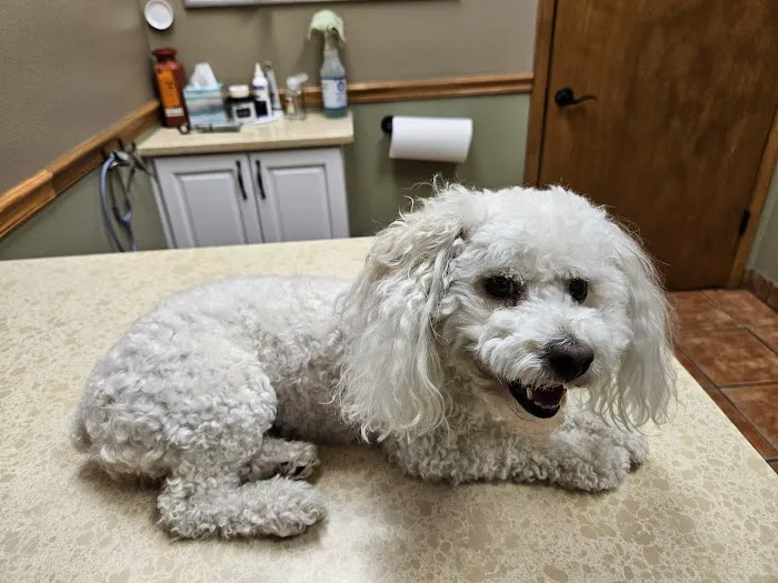 River Landings Animal Clinic 12