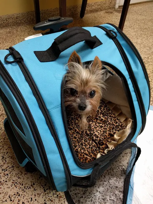 Animal Hospital at Lakewood Ranch 10