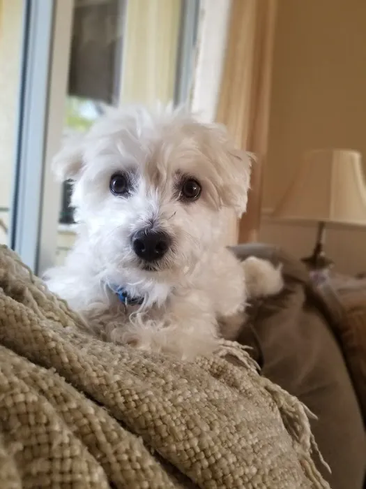 Animal Hospital at Lakewood Ranch 9