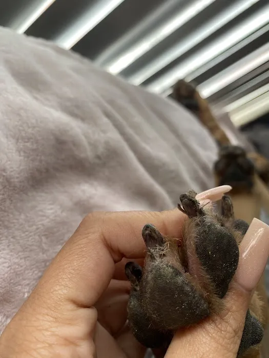 Parkway Veterinary Center 12