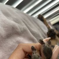 Parkway Veterinary Center ico