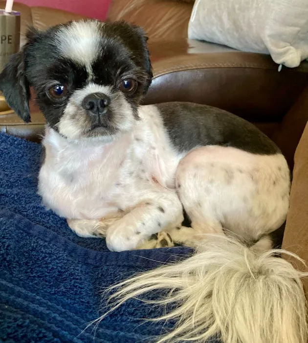 Parkway Veterinary Center 12