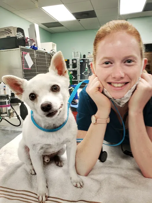 Suncoast Veterinary Emergency & Specialty Center 12