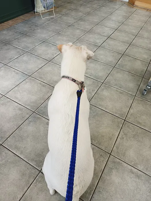 Fruitville Veterinary Clinic 12