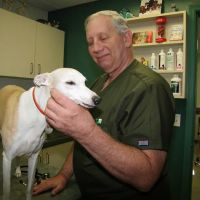 Fruitville Veterinary Clinic ico