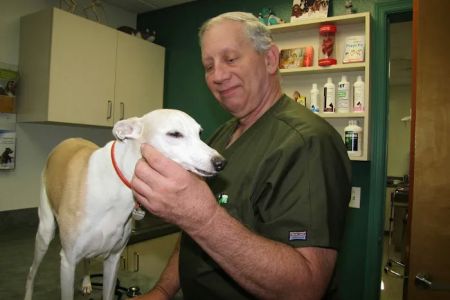 Fruitville Veterinary Clinic