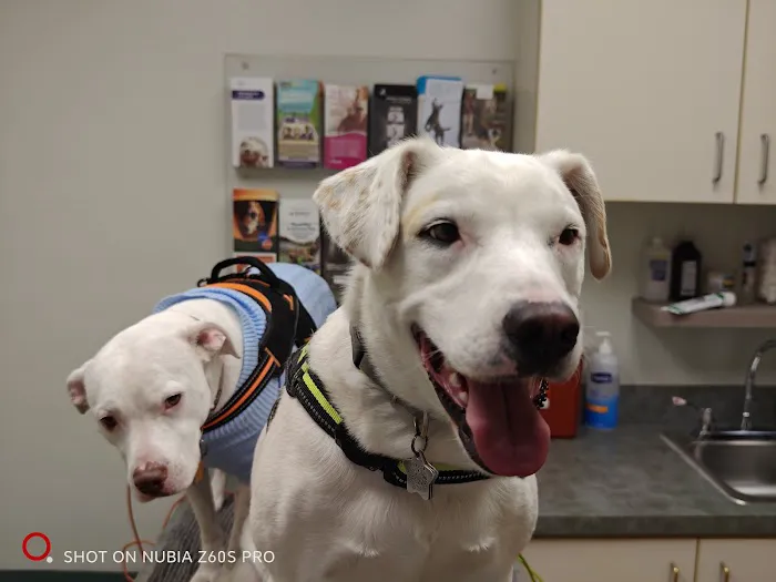 Fruitville Veterinary Clinic 12