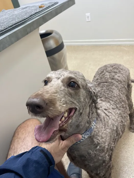 Fruitville Veterinary Clinic 12