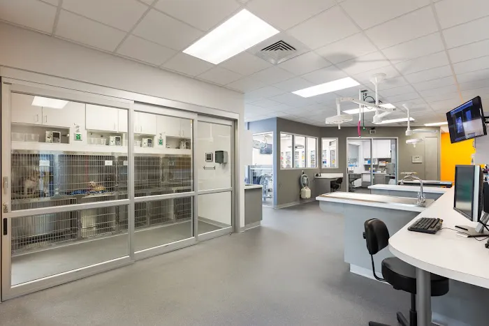 Veterinary Surgery Center of Sarasota 5