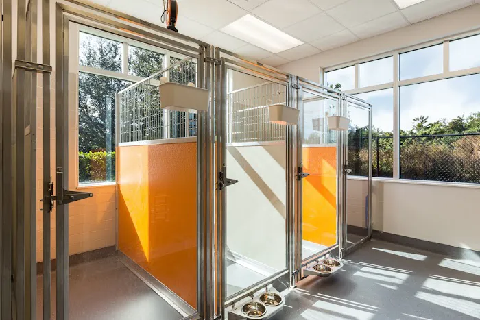 Veterinary Surgery Center of Sarasota 9