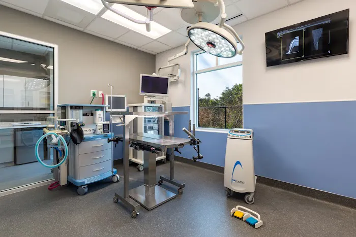 Veterinary Surgery Center of Sarasota 8