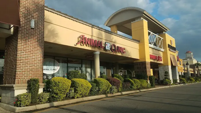 University Animal Clinic 6