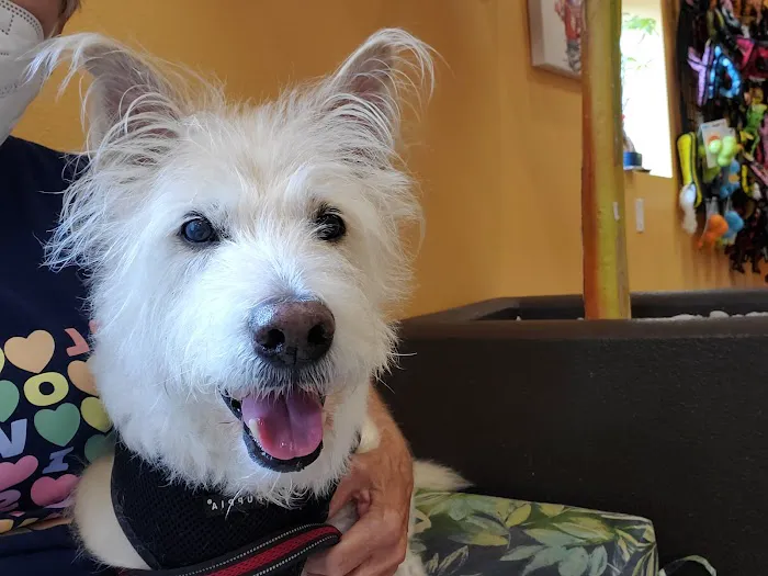 Coastal Animal Medical Center 12