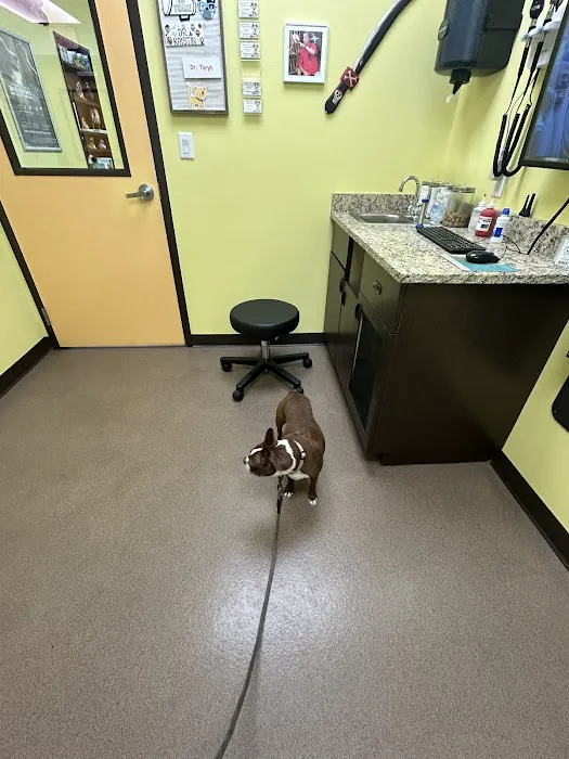 Coastal Animal Medical Center 12